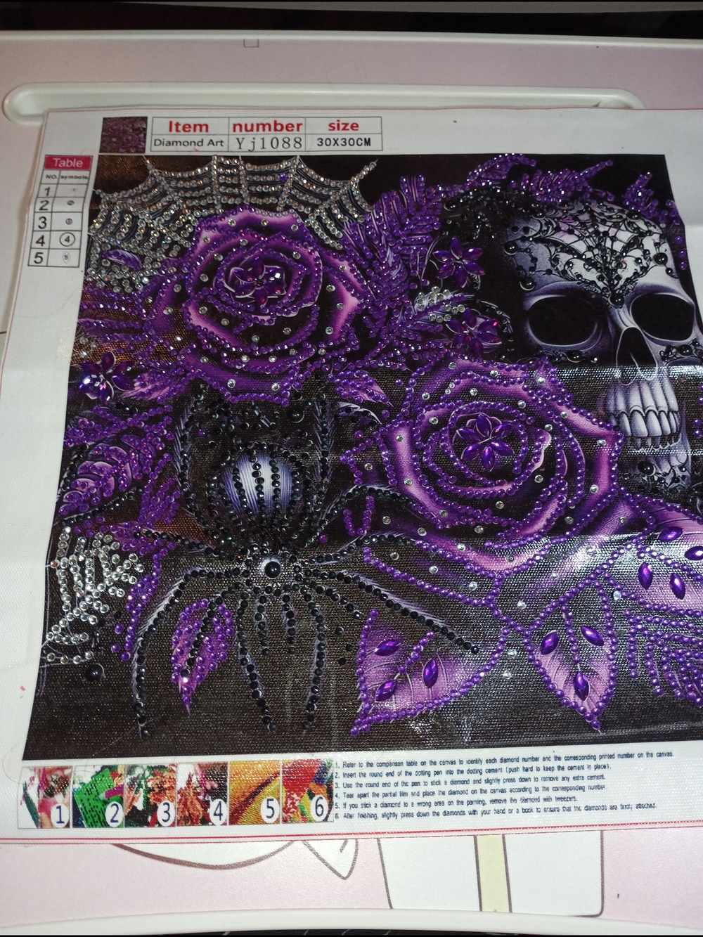 Skull/Roses Diamond Art Handmade